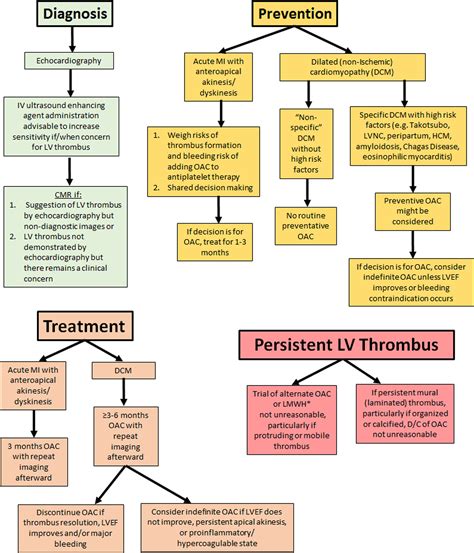 causes of lv thrombus|left ventricular thrombus anticoagulation.